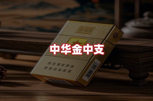 中华金中支